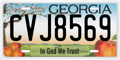GA license plate CVJ8569
