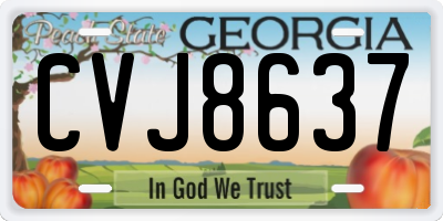 GA license plate CVJ8637