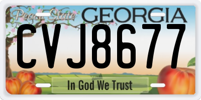 GA license plate CVJ8677