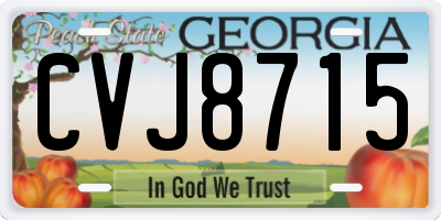 GA license plate CVJ8715
