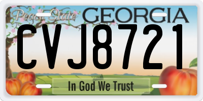 GA license plate CVJ8721