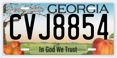 GA license plate CVJ8854