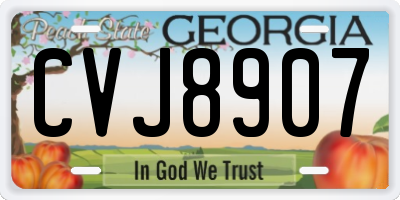 GA license plate CVJ8907