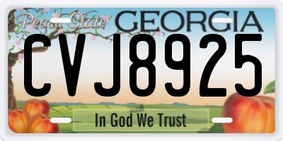 GA license plate CVJ8925