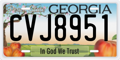 GA license plate CVJ8951