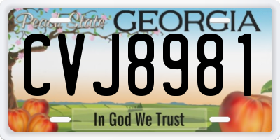 GA license plate CVJ8981