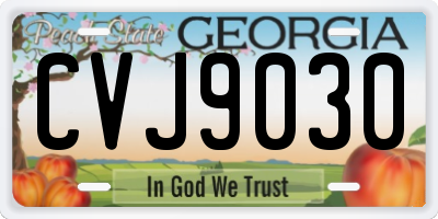 GA license plate CVJ9030
