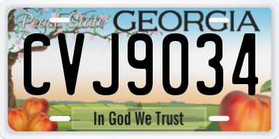 GA license plate CVJ9034