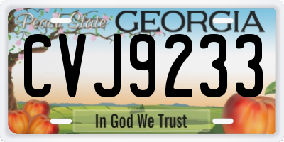 GA license plate CVJ9233