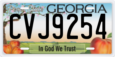 GA license plate CVJ9254