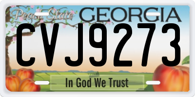 GA license plate CVJ9273