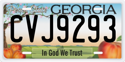 GA license plate CVJ9293