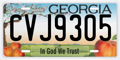 GA license plate CVJ9305
