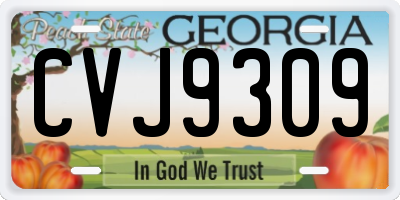 GA license plate CVJ9309