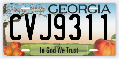 GA license plate CVJ9311