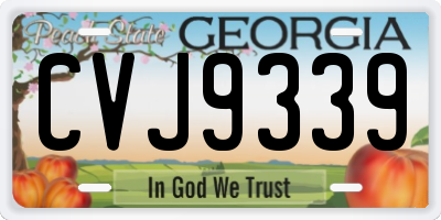GA license plate CVJ9339