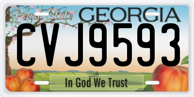 GA license plate CVJ9593