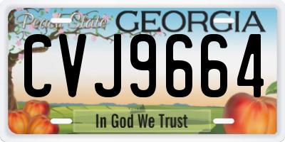 GA license plate CVJ9664