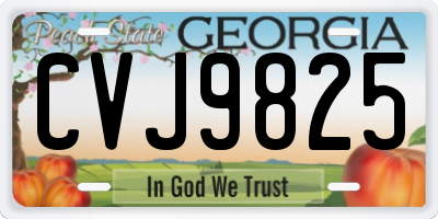 GA license plate CVJ9825