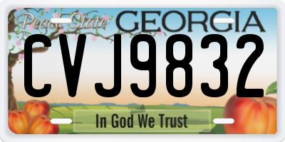 GA license plate CVJ9832