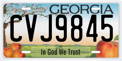 GA license plate CVJ9845