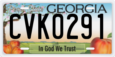 GA license plate CVK0291