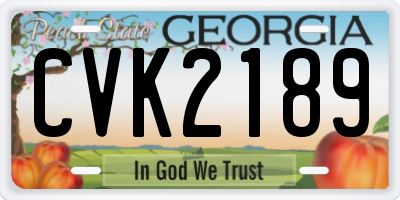 GA license plate CVK2189