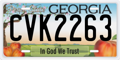 GA license plate CVK2263