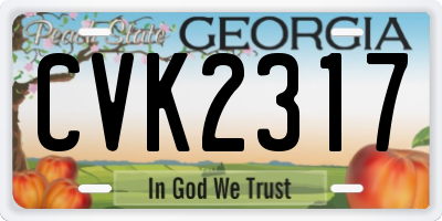 GA license plate CVK2317