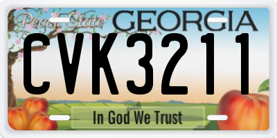 GA license plate CVK3211