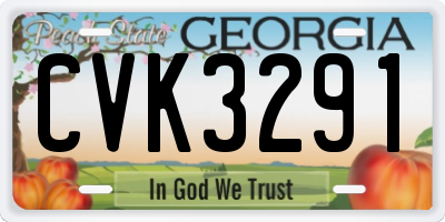 GA license plate CVK3291