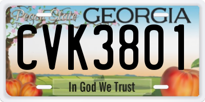 GA license plate CVK3801