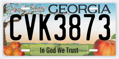 GA license plate CVK3873
