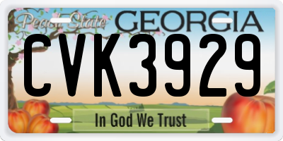 GA license plate CVK3929