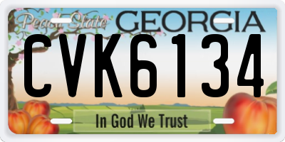 GA license plate CVK6134