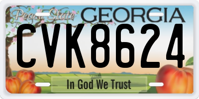 GA license plate CVK8624