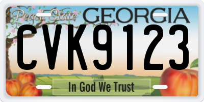 GA license plate CVK9123