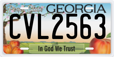 GA license plate CVL2563