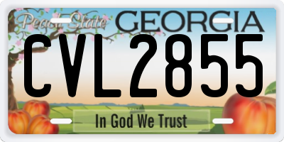 GA license plate CVL2855
