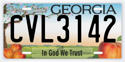 GA license plate CVL3142