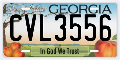 GA license plate CVL3556