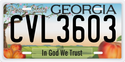 GA license plate CVL3603