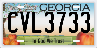 GA license plate CVL3733
