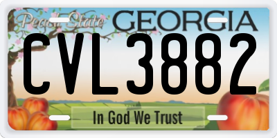 GA license plate CVL3882