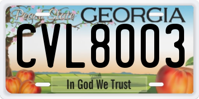 GA license plate CVL8003