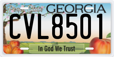 GA license plate CVL8501