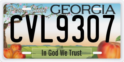 GA license plate CVL9307