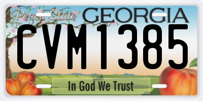 GA license plate CVM1385