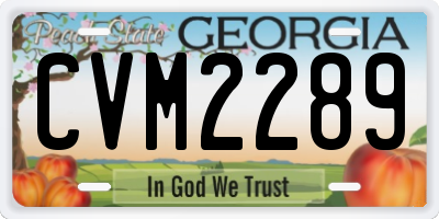 GA license plate CVM2289