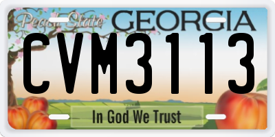 GA license plate CVM3113